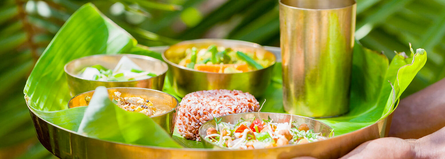 Naturopathic Rejuvenation, Nutrition & Mind-Body Wellness