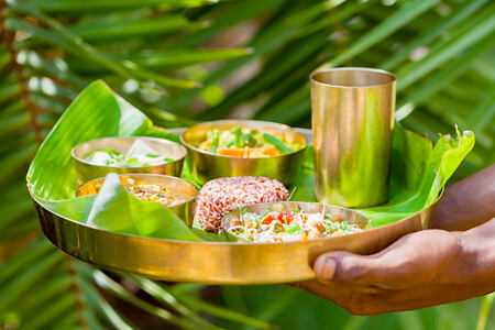 Naturopathic Rejuvenation, Nutrition & Mind-Body Wellness
