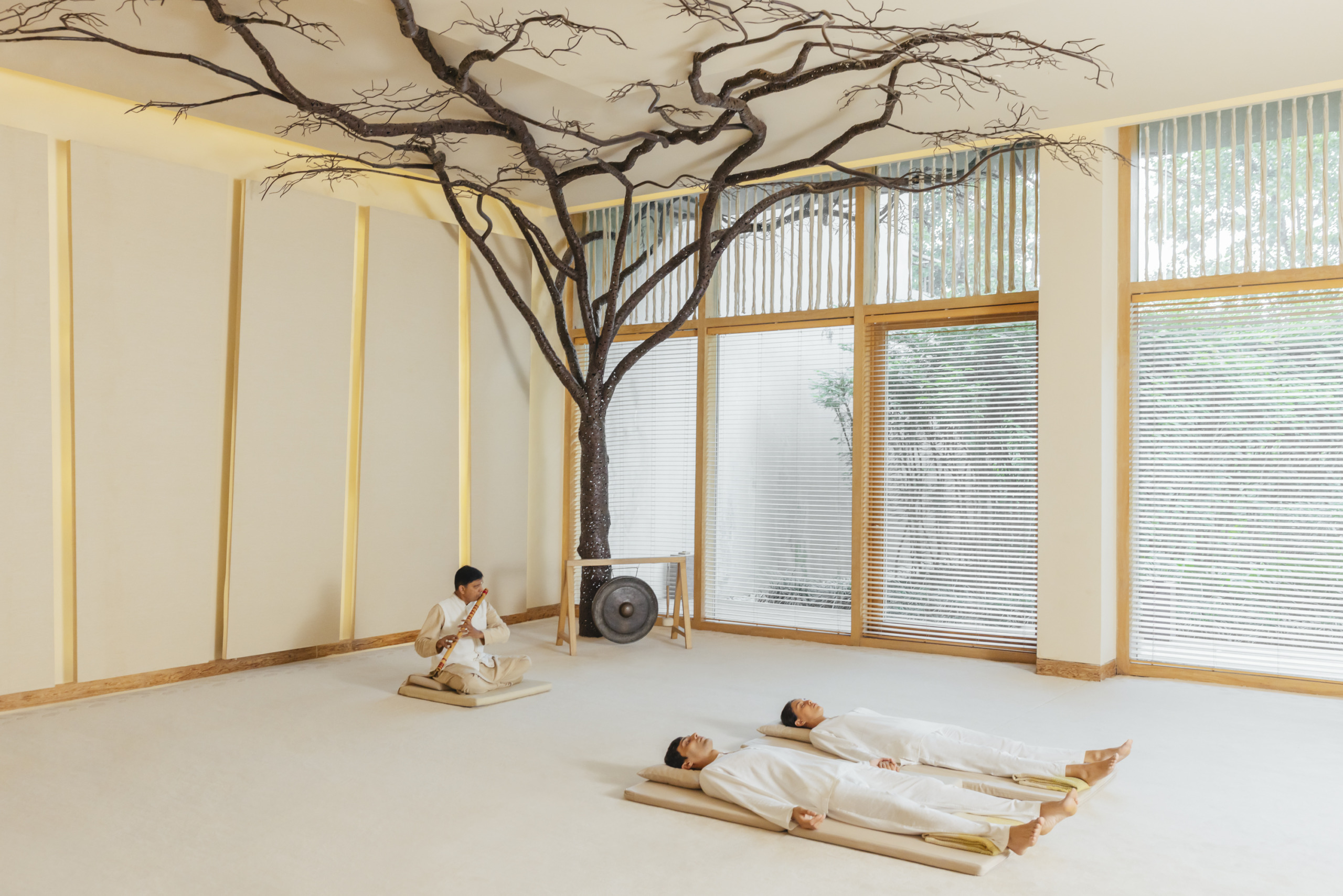 Sleep Enhancement & Circadian Balance