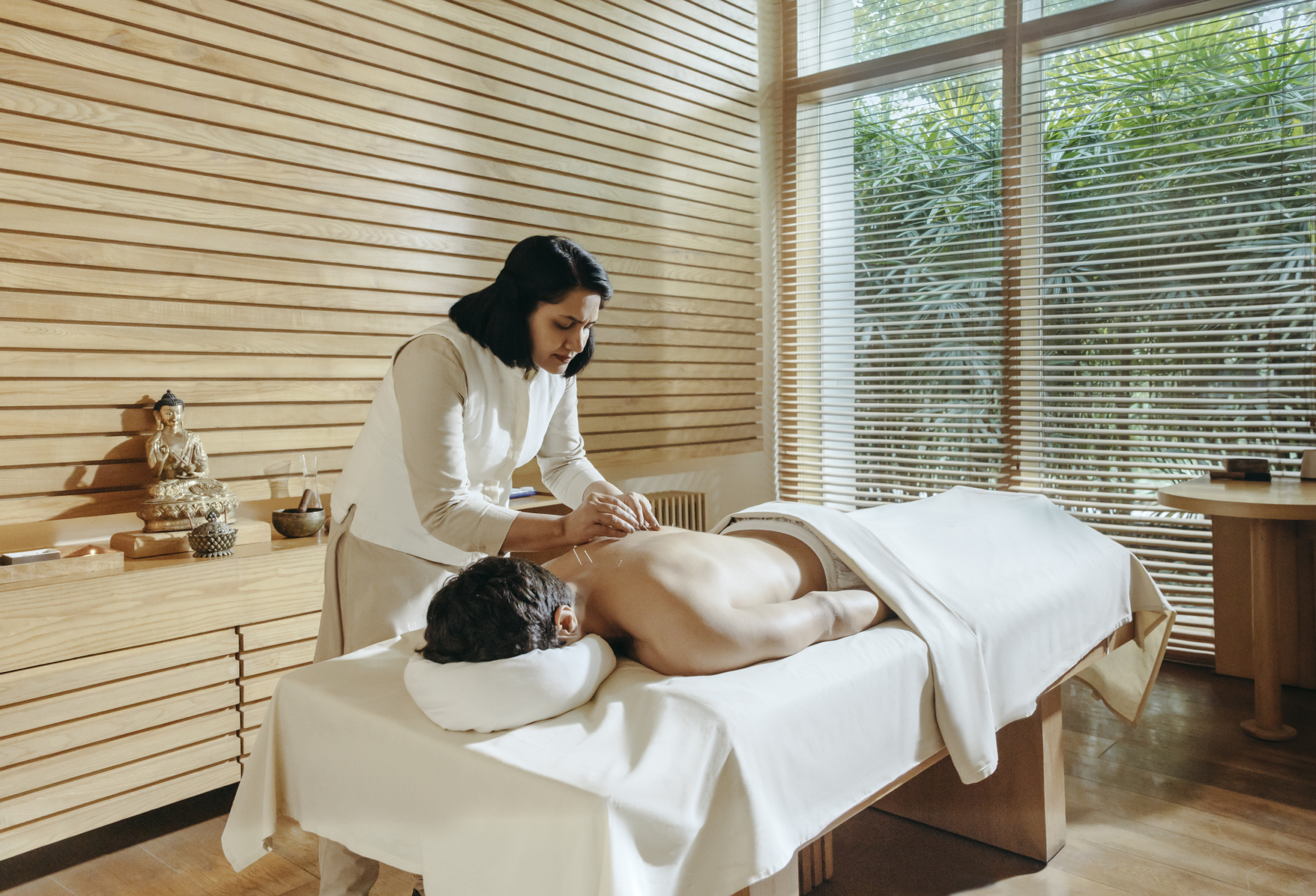 Personalized Ayurveda, Dosha Balance & Holistic Rejuvenation
