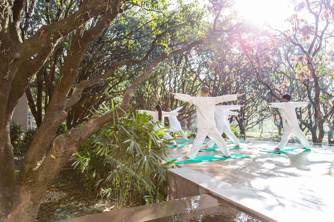 Yoga, Mindfulness & Holistic Wellbeing
